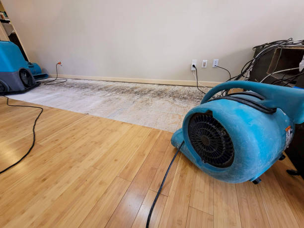 Professional Flood Damage Cleanup technician working in Madison, ME
